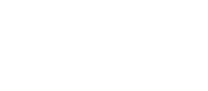 Level Consulting